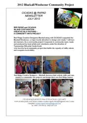 Projects -  Blackall Woolscour
